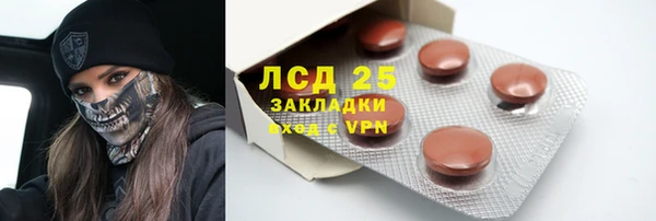 гидра Нея