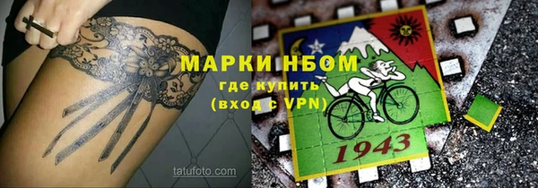 гашик Нефтекумск