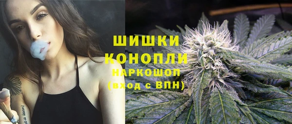 гидра Нея